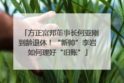 方正富邦董事长何亚刚到龄退休！“新帅”李岩如何理好“旧账”