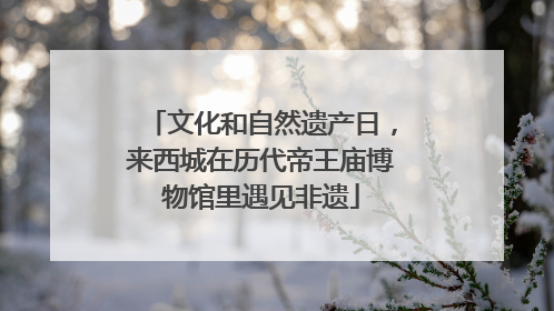 文化和自然遗产日，来西城在历代帝王庙博物馆里遇见非遗