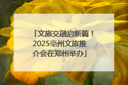 文旅交融启新篇！2025亳州文旅推介会在郑州举办