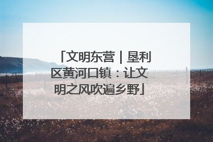 文明东营｜垦利区黄河口镇：让文明之风吹遍乡野