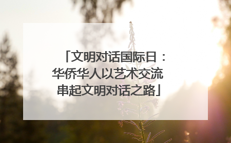 文明对话国际日：华侨华人以艺术交流串起文明对话之路