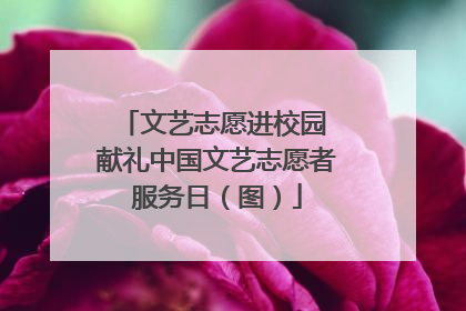 文艺志愿进校园 献礼中国文艺志愿者服务日（图）