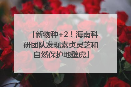 新物种+2！海南科研团队发现素贞灵芝和自然保护地壁虎