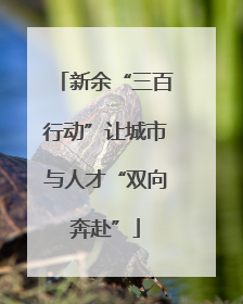 新余“三百行动”让城市与人才“双向奔赴”