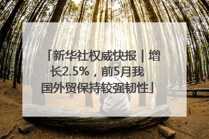 新华社权威快报｜增长2.5%，前5月我国外贸保持较强韧性