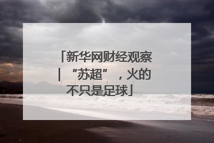 新华网财经观察｜“苏超”，火的不只是足球