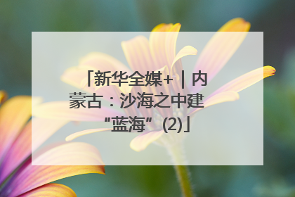 新华全媒+｜内蒙古：沙海之中建“蓝海”(2)