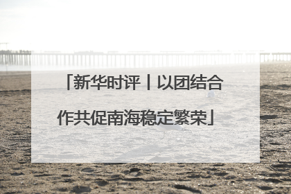 新华时评丨以团结合作共促南海稳定繁荣