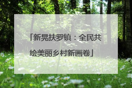 新晃扶罗镇：全民共绘美丽乡村新画卷