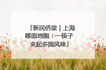 新民侨梁｜上海嗦面地图：一筷子夹起多国风味