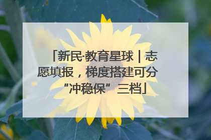 新民·教育星球｜志愿填报，梯度搭建可分“冲稳保”三档
