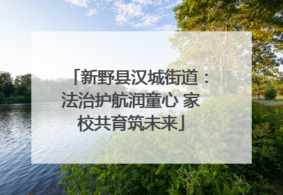 新野县汉城街道：法治护航润童心 家校共育筑未来