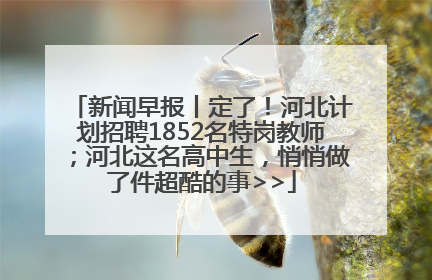 新闻早报丨定了！河北计划招聘1852名特岗教师；河北这名高中生，悄悄做了件超酷的事>>