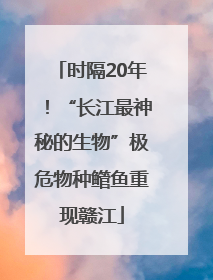 时隔20年！“长江最神秘的生物”极危物种鳤鱼重现赣江
