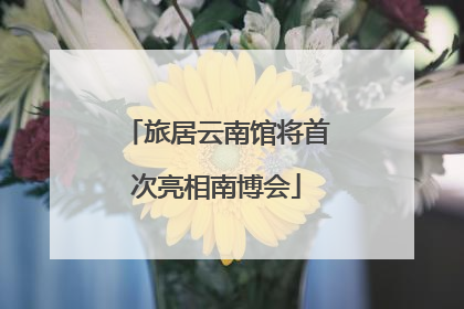 旅居云南馆将首次亮相南博会