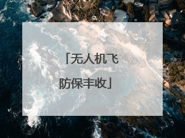 无人机飞防保丰收