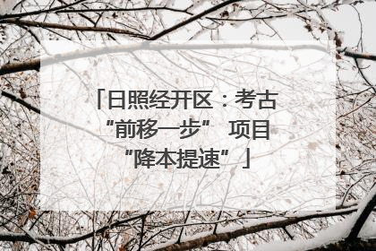 日照经开区：考古“前移一步” 项目“降本提速”
