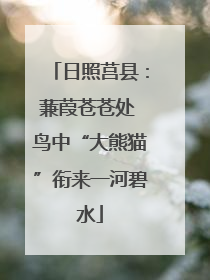 日照莒县：蒹葭苍苍处 鸟中“大熊猫”衔来一河碧水