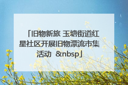 旧物新旅 玉塘街道红星社区开展旧物漂流市集活动   