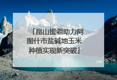 昆山援疆助力阿图什市盐碱地玉米种植实现新突破