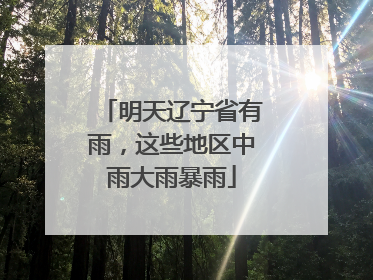 明天辽宁省有雨，这些地区中雨大雨暴雨