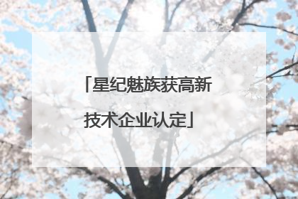 星纪魅族获高新技术企业认定