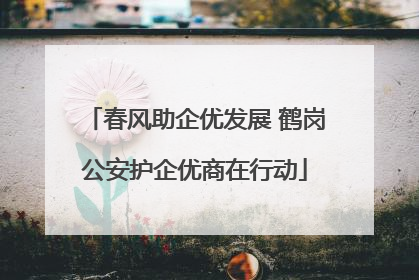春风助企优发展 鹤岗公安护企优商在行动