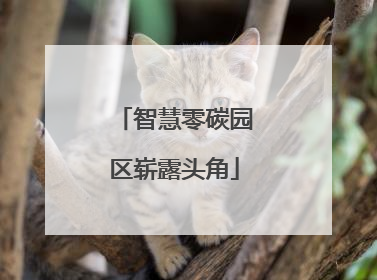 智慧零碳园区崭露头角