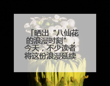 晒出“八仙花的浪漫时刻”，今天，不少读者将这份浪漫延续到家里