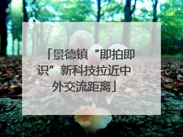 景德镇“即拍即识”新科技拉近中外交流距离