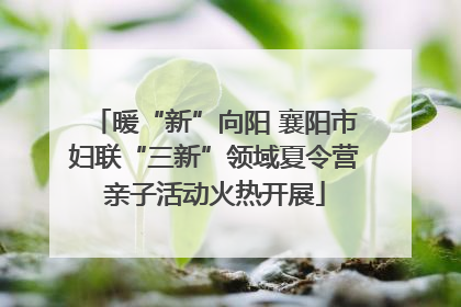 暖“新”向阳 襄阳市妇联“三新”领域夏令营亲子活动火热开展