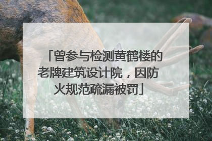 曾参与检测黄鹤楼的老牌建筑设计院，因防火规范疏漏被罚
