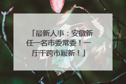 最新人事：安徽新任一名市委常委！一厅干跨市履新！