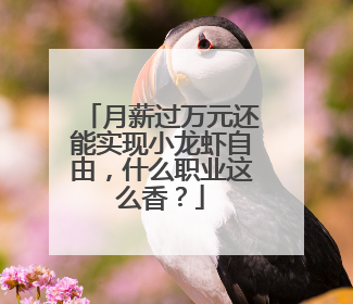 月薪过万元还能实现小龙虾自由，什么职业这么香？