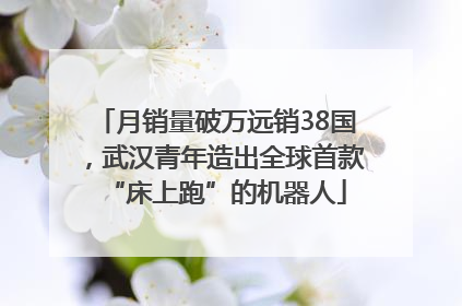 月销量破万远销38国，武汉青年造出全球首款“床上跑”的机器人