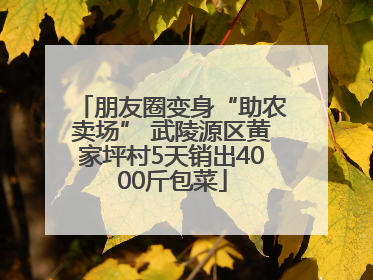 朋友圈变身“助农卖场” 武陵源区黄家坪村5天销出4000斤包菜