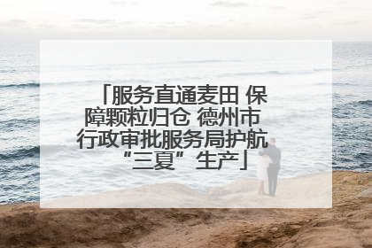 服务直通麦田 保障颗粒归仓 德州市行政审批服务局护航“三夏”生产