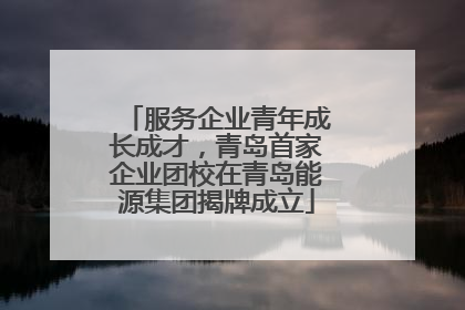 服务企业青年成长成才，青岛首家企业团校在青岛能源集团揭牌成立