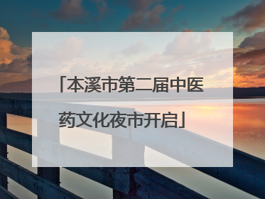 本溪市第二届中医药文化夜市开启