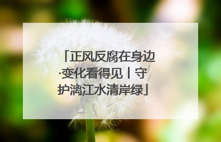 正风反腐在身边·变化看得见丨守护漓江水清岸绿