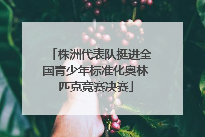 株洲代表队挺进全国青少年标准化奥林匹克竞赛决赛