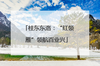 桂东东洛：“红领雁”领航百业兴