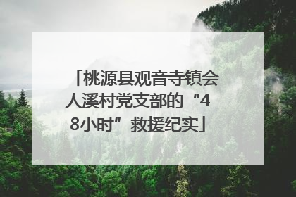 桃源县观音寺镇会人溪村党支部的“48小时”救援纪实