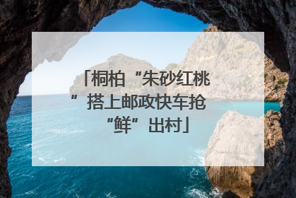 桐柏“朱砂红桃”搭上邮政快车抢“鲜”出村