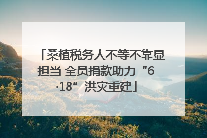 桑植税务人不等不靠显担当 全员捐款助力“6·18”洪灾重建
