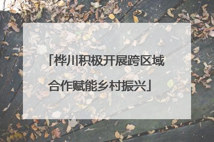桦川积极开展跨区域合作赋能乡村振兴