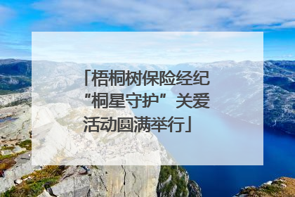 梧桐树保险经纪“桐星守护”关爱活动圆满举行
