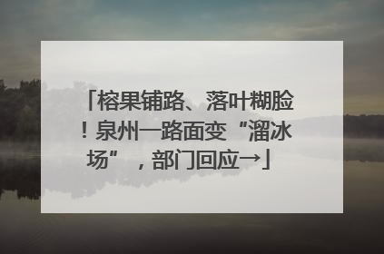 榕果铺路、落叶糊脸！泉州一路面变“溜冰场”，部门回应→