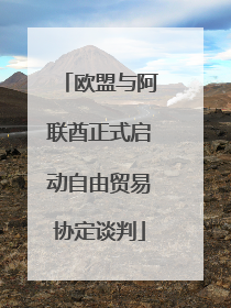 欧盟与阿联酋正式启动自由贸易协定谈判