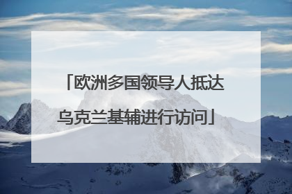欧洲多国领导人抵达乌克兰基辅进行访问